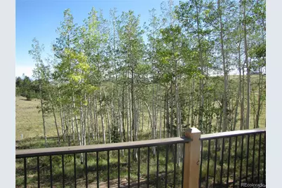 8575 Ranch Road, Hartsel, CO 80449 - Photo 10