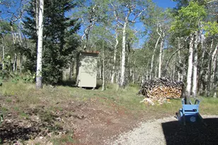 8575 Ranch Rd, Hartsel, CO 80449 - Photo 28