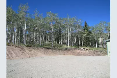 8575 Ranch Road, Hartsel, CO 80449 - Photo 8
