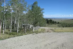 8575 Ranch Rd, Hartsel, CO 80449 - Photo 32