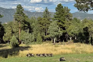 234 Bremer Rd, Howard, CO 81233 - Photo 48