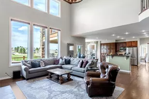 8435 Green Island Cir, Lone Tree, CO 80124 - Photo 14