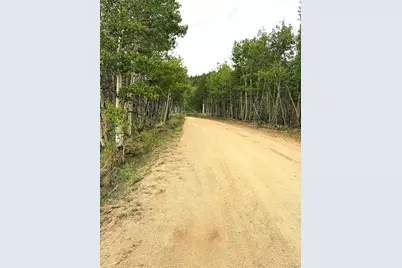 615 Caracara Lane, Jefferson, CO 80456 - Photo 4