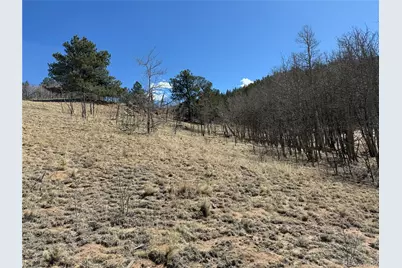 615 Caracara Lane, Jefferson, CO 80456 - Photo 24