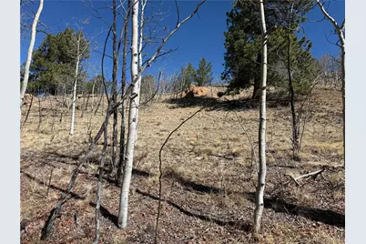 615 Caracara Lane, Jefferson, CO 80456 - Photo 8