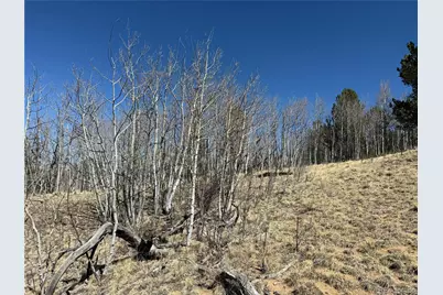 615 Caracara Lane, Jefferson, CO 80456 - Photo 22