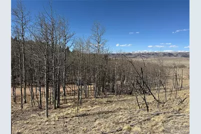 615 Caracara Lane, Jefferson, CO 80456 - Photo 10