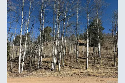 615 Caracara Lane, Jefferson, CO 80456 - Photo 4