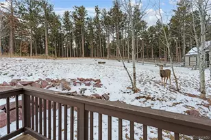 1157 Ptarmigan Dr, Woodland Park, CO 80863 - Photo 40