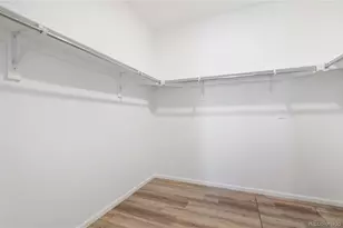 4020 Castle Vis Ln, Castle Rock, CO 80104 - Photo 24