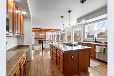 10210 Charissglen Lane, Highlands Ranch, CO 80126 - Photo 16