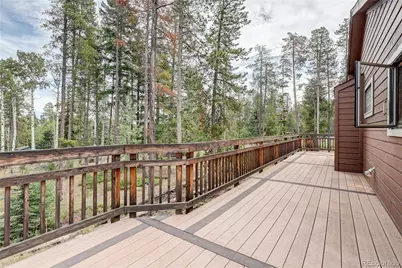 10850 Oehlmann Avenue, Conifer, CO 80433 - Photo 10