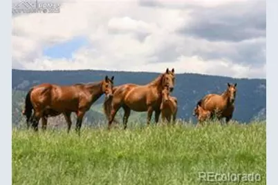 5499 Remuda Ranch Parkway, Sedalia, CO 80118 - Photo 16