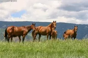 5499 Remuda Rnch Pkwy, Sedalia, CO 80118 - Photo 16