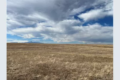 County 41 Road, Elbert, CO 80106 - Photo 10