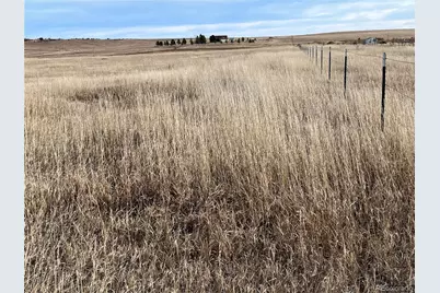 County 41 Road, Elbert, CO 80106 - Photo 12