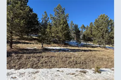 91 Hidden Valley Drive, Florissant, CO 80816 - Photo 2