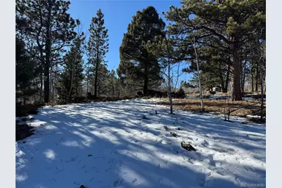 91 Hidden Valley Drive, Florissant, CO 80816 - Photo 8
