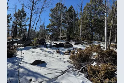 91 Hidden Valley Drive, Florissant, CO 80816 - Photo 6