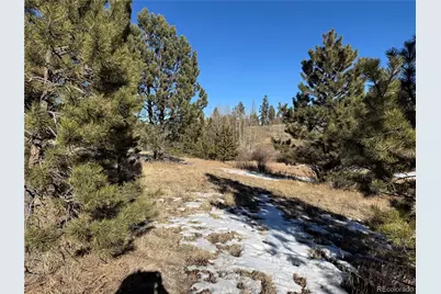 91 Hidden Valley Drive, Florissant, CO 80816 - Photo 4