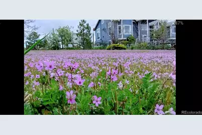 7840 Shenandoah Drive, Elizabeth, CO 80107 - Photo 26