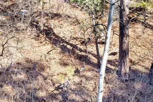 9079 S Murphy Gulch Rd, Littleton, CO 80127 - Photo 34