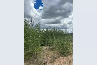 Block One (1), Lot Sixteen (16), Paradise Acres Su, La Veta, CO 81055 - Photo 8