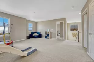 7516 Oasis Dr, Castle Rock, CO 80108 - Photo 20