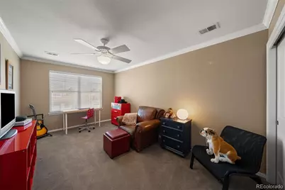 3867 Broadview Place, Castle Rock, CO 80109 - Photo 20