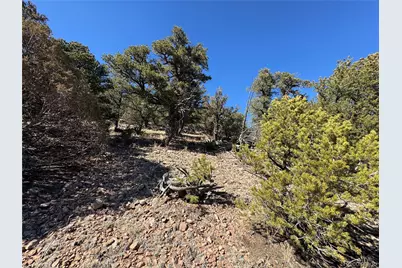 1114 Kevin Drive, Cotopaxi, CO 81223 - Photo 8