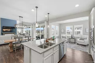 5667 Saddle Skirt St, Parker, CO 80134 - Photo 12