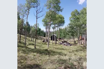 1391 Ute Trail, Como, CO 80432 - Photo 26