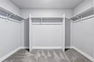 18206 Prince Hl Cir, Parker, CO 80134 - Photo 30