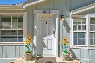 803 Bonell Dr, Fairplay, CO 80440 - Photo 4