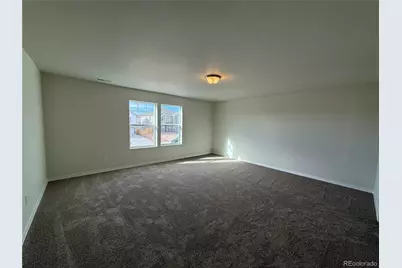 8221 Sophia Lane, Colorado Springs, CO 80908 - Photo 16