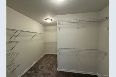 8221 Sophia Lane, Colorado Springs, CO 80908 - Photo 20