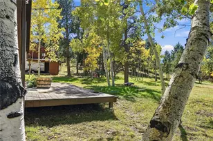 533 Burland Dr, Bailey, CO 80421 - Photo 40
