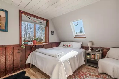 495 Edgewood Road, Alma, CO 80420 - Photo 16