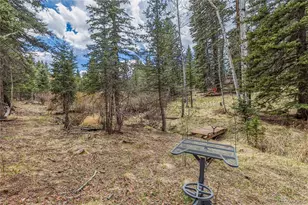 153 Moss Rock Ct, Divide, CO 80814 - Photo 36