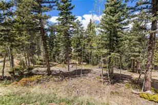 153 Moss Rock Ct, Divide, CO 80814 - Photo 6