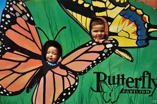 14227 Old Cottonwood St, Broomfield, CO 80020 - Photo 4