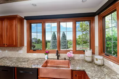 921 Courtland Place, Highlands Ranch, CO 80126 - Photo 8