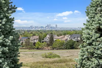 921 Courtland Place, Highlands Ranch, CO 80126 - Photo 4