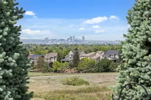 921 Courtland Pl, Highlands Ranch, CO 80126 - Photo 4