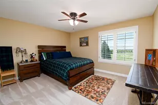 921 Courtland Pl, Highlands Ranch, CO 80126 - Photo 34