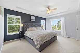 10559 Jewelberry Trail, Highlands Ranch, CO 80130 - Photo 16