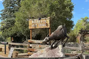 9582 US Hwy 285, Salida, CO 81201 - Photo 32