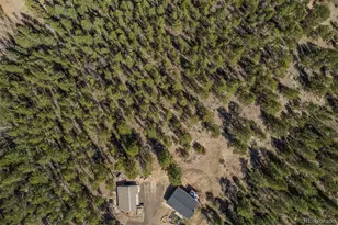 752 Impala Trail, Bailey, CO 80421 - Photo 42