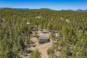 752 Impala Trail, Bailey, CO 80421 - Photo 38
