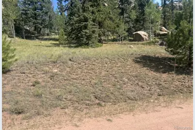 987 Eagle Rock Road, Florissant, CO 80816 - Photo 8